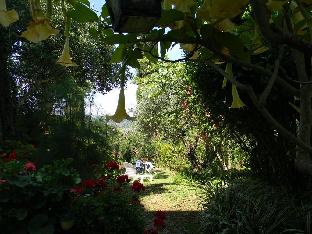 Villa Efterpi คอนโตกาลิ ภายนอก รูปภาพ