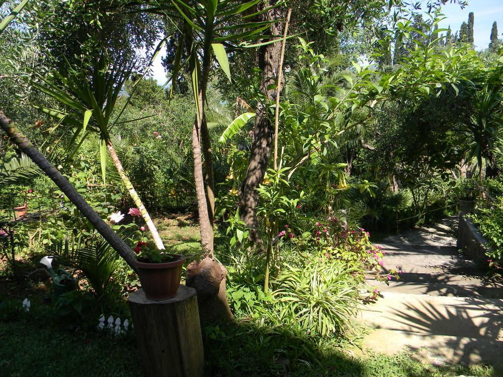 Villa Efterpi คอนโตกาลิ ภายนอก รูปภาพ